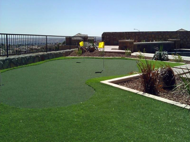 Artificial Turf East Williston, Florida Indoor Putting Greens