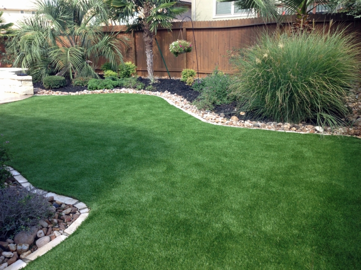 Artificial Turf Glen Saint Mary, Florida Landscape Ideas, Backyard Design