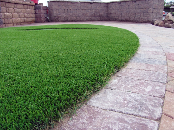 Artificial Turf Installation Cedar Key, Florida Dog Park, Front Yard Landscape Ideas