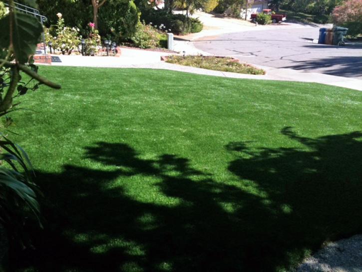 Artificial Turf Installation Clermont, Florida Lawns, Landscaping Ideas For Front Yard