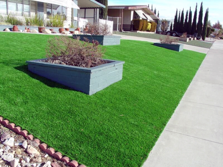 Artificial Turf Installation Deltona, Florida City Landscape, Landscaping Ideas For Front Yard