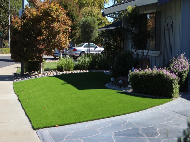 Artificial Turf Installation Leesburg, Florida Garden Ideas, Front Yard Landscaping