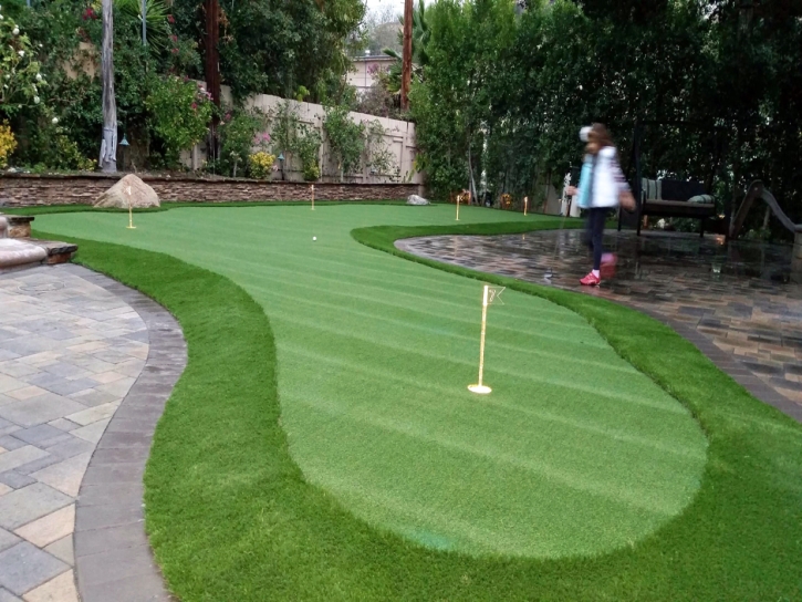 Artificial Turf Installation Neptune Beach, Florida Diy Putting Green, Backyard Landscape Ideas