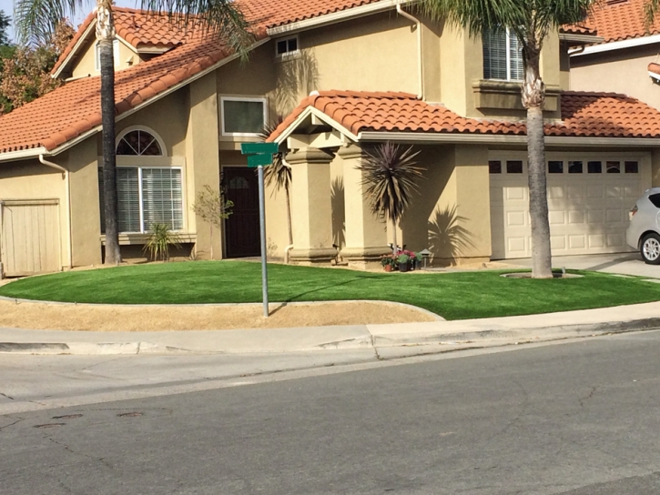 Artificial Turf Installation Otter Creek, Florida Backyard Playground, Front Yard Landscape Ideas