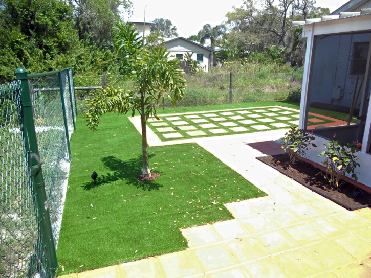 Artificial Turf Installation Reddick, Florida Lawns, Backyard Garden Ideas