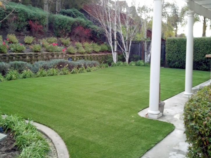 Artificial Turf Installation San Antonio, Florida Grass For Dogs, Backyard Ideas