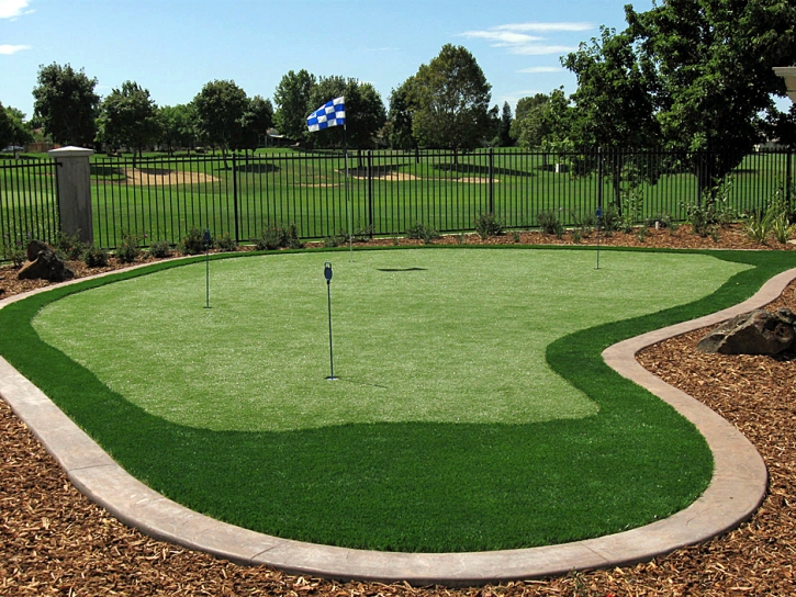 Artificial Turf Installation White Springs, Florida Indoor Putting Greens, Backyard Designs