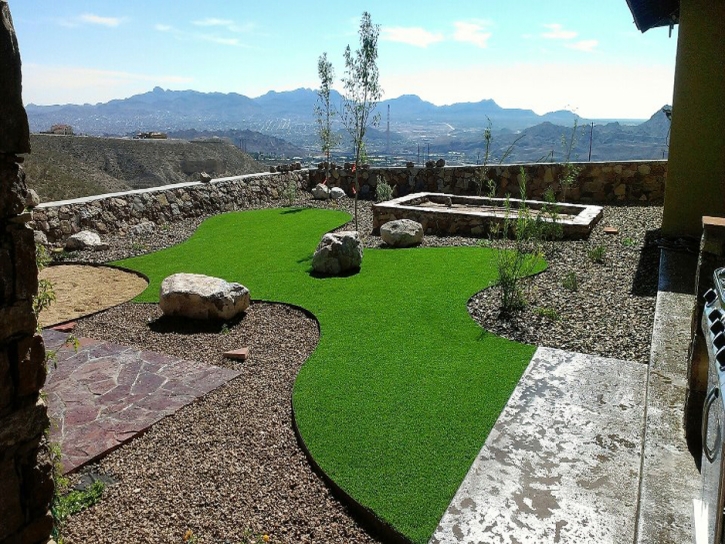 Artificial Turf Jacksonville Beach, Florida Dog Hospital, Backyard Landscaping