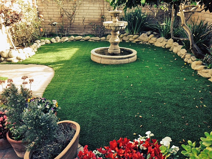 Artificial Turf Pine Hills, Florida Landscape Ideas