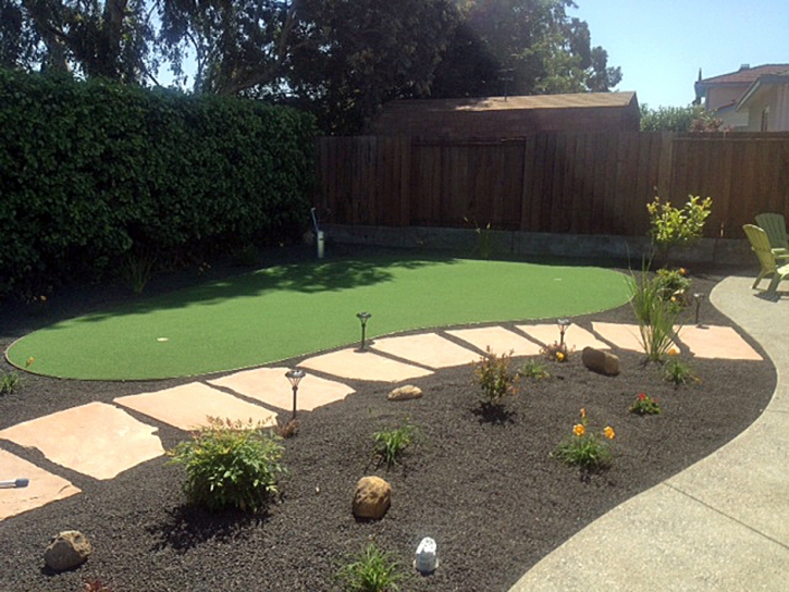 Artificial Turf Pine Island, Florida Indoor Putting Greens, Backyard Landscaping