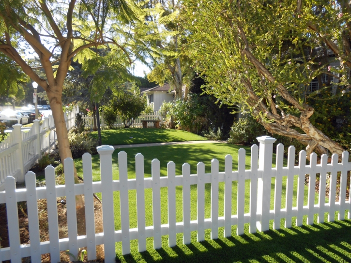 Artificial Turf Saint Augustine Shores, Florida Rooftop, Front Yard Landscaping Ideas