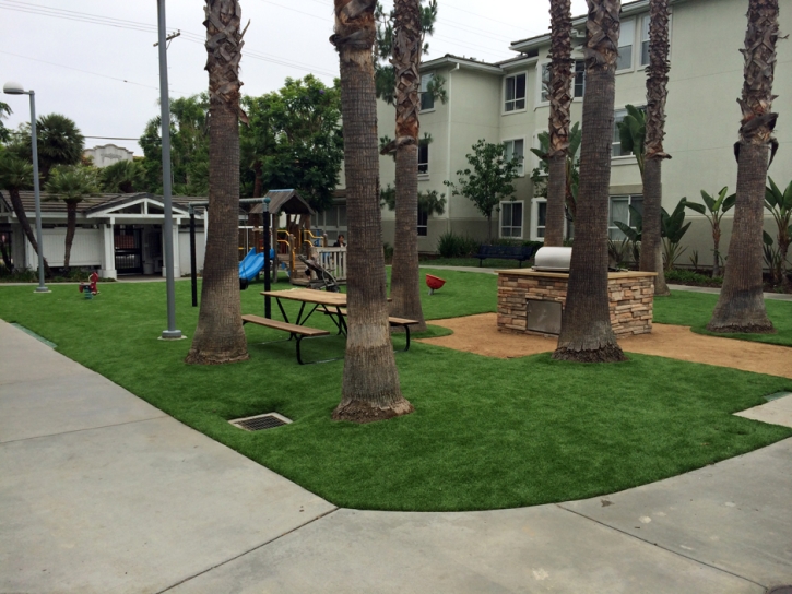 Artificial Turf Silver Springs Shores, Florida Home And Garden, Commercial Landscape