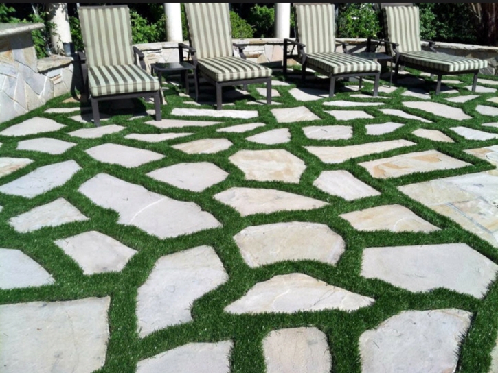 Artificial Turf Silver Springs Shores, Florida Gardeners, Backyard Landscaping