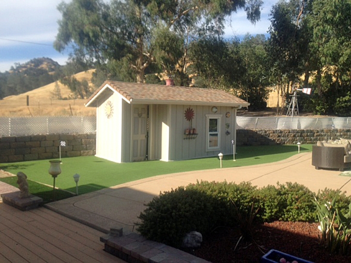 Artificial Turf Sugarmill Woods, Florida Home Putting Green, Commercial Landscape