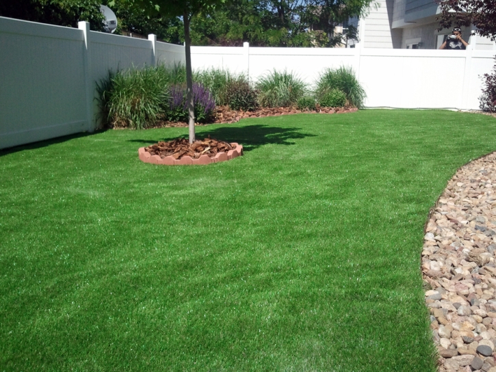 Best Artificial Grass East Palatka, Florida City Landscape, Backyard Ideas