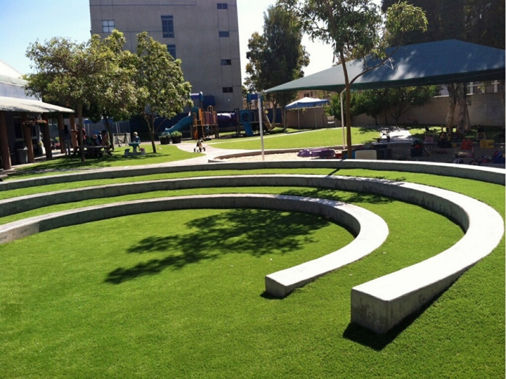 Best Artificial Grass Flagler Beach, Florida Indoor Playground, Commercial Landscape