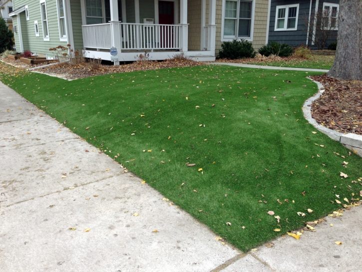 Best Artificial Grass Maitland, Florida Landscape Photos, Front Yard Design