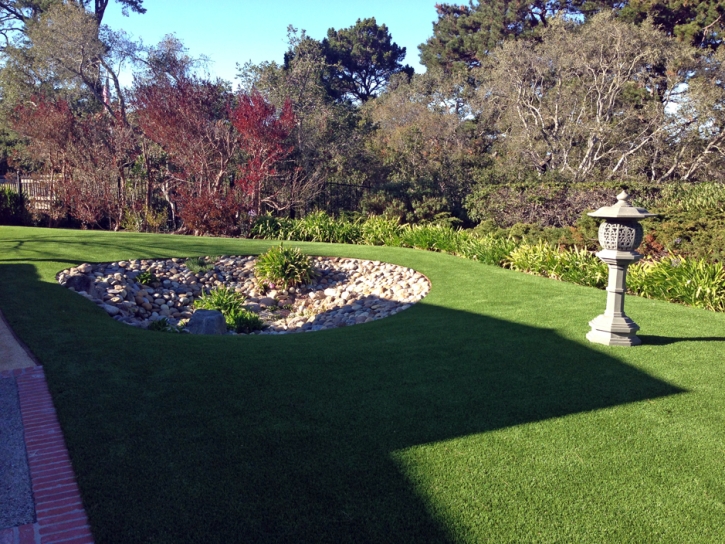 Best Artificial Grass Palatka, Florida Landscaping Business, Backyard Makeover