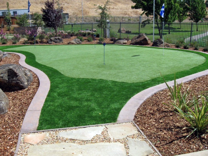 Best Artificial Grass Pomona Park, Florida Putting Green Grass, Backyard