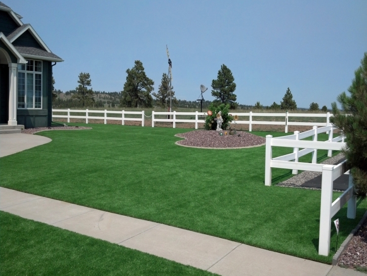 Best Artificial Grass Ponte Vedra Beach, Florida Roof Top, Front Yard Landscaping Ideas