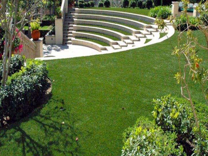 Best Artificial Grass Sharpes, Florida Lawn And Landscape