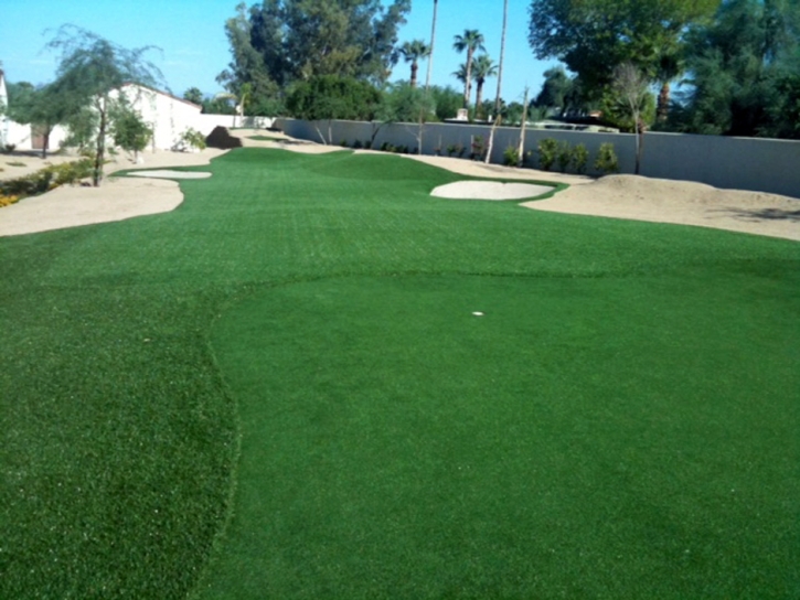 Best Artificial Grass Southchase, Florida Landscape Photos