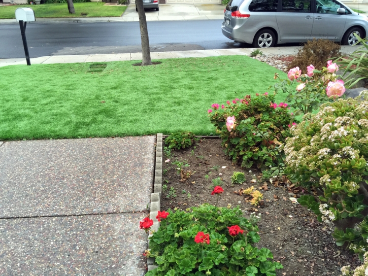 Best Artificial Grass Welaka, Florida Grass For Dogs, Front Yard Ideas