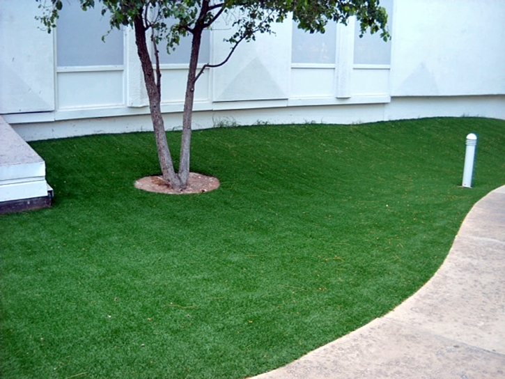 Fake Grass Azalea Park, Florida Backyard Deck Ideas, Commercial Landscape