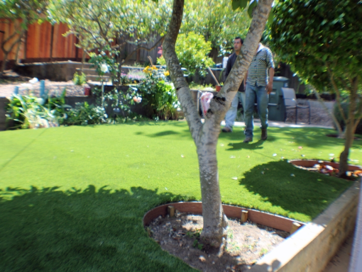 Fake Grass Bushnell, Florida Lawn And Garden, Backyards