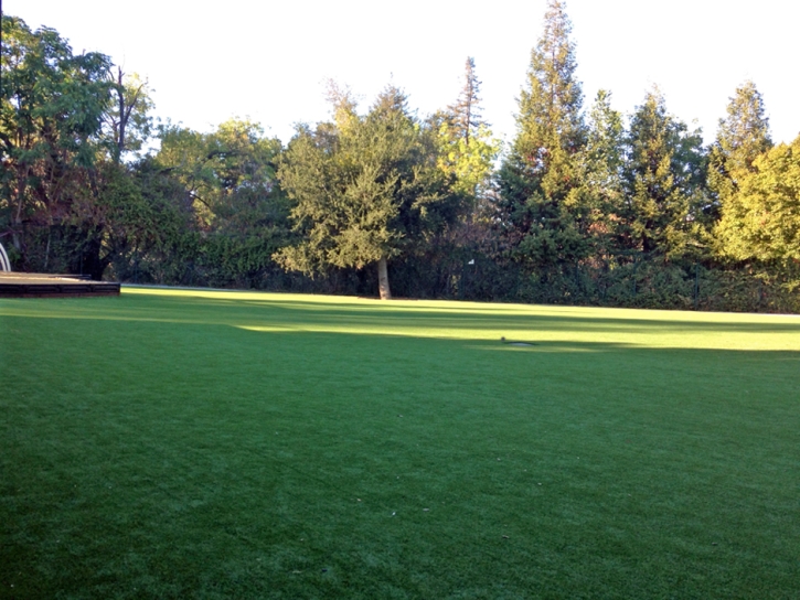 Fake Grass Carpet Apopka, Florida Paver Patio, Parks