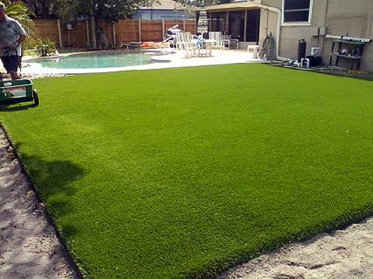 Fake Grass Carpet Apopka, Florida Backyard Deck Ideas, Swimming Pool Designs