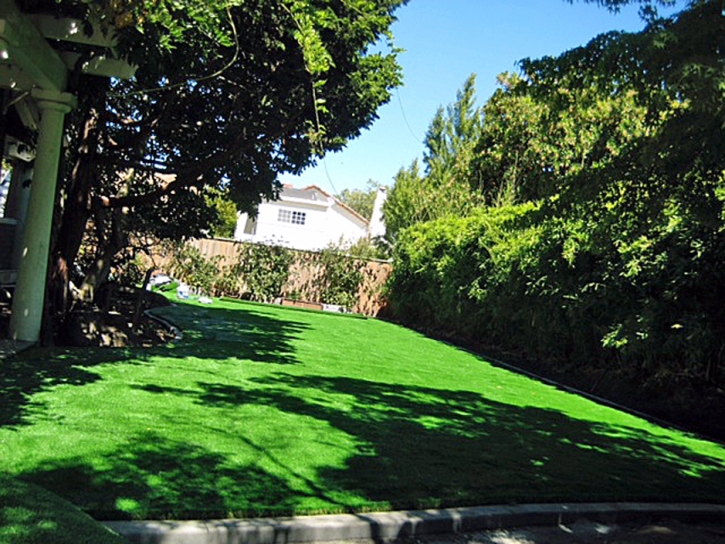 Fake Grass Carpet Archer, Florida Lawn And Landscape, Backyard Design