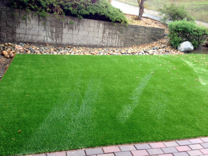 Fake Grass Carpet Bellair-Meadowbrook Terrace, Florida Lawn And Landscape, Front Yard Ideas