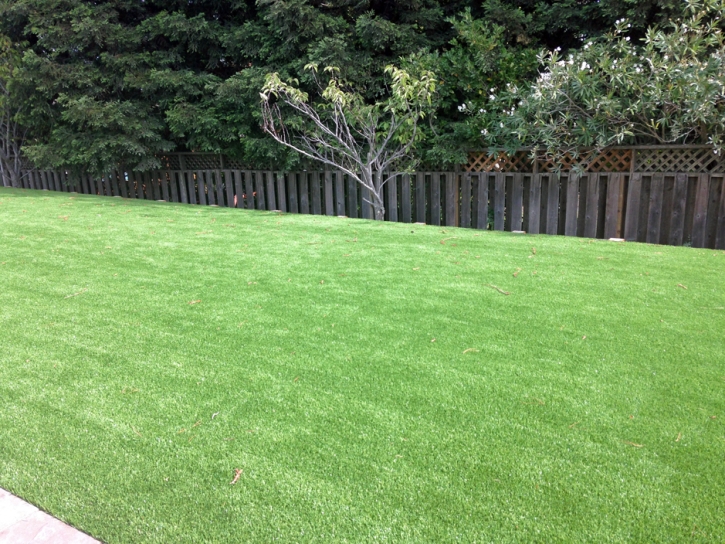 Fake Grass Carpet Forest City, Florida Landscaping, Backyard Landscaping