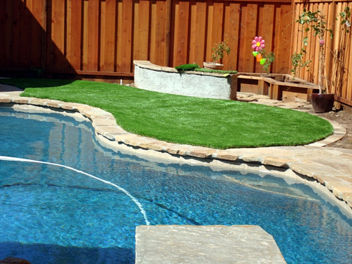 Fake Grass Carpet Interlachen, Florida Lawn And Garden, Backyard Landscape Ideas