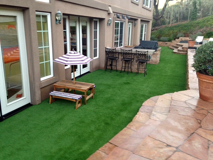 Fake Grass Carpet Inverness Highlands North, Florida Landscape Ideas, Beautiful Backyards