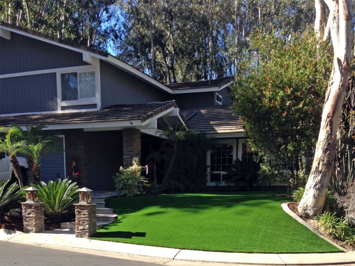 Fake Grass Carpet Jennings, Florida Landscaping, Front Yard Landscape Ideas