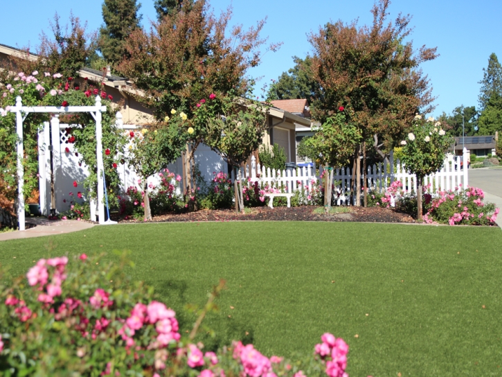 Fake Grass Carpet Lamont, Florida Rooftop, Front Yard Landscape Ideas