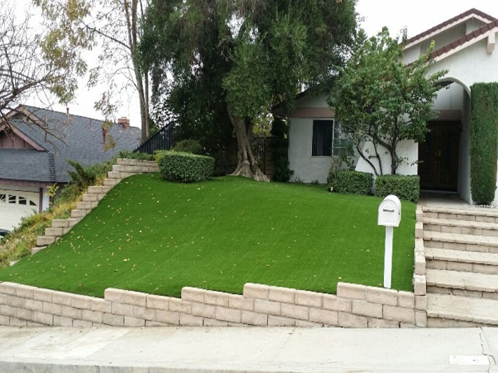 Fake Grass Carpet Mayo, Florida Gardeners, Small Front Yard Landscaping