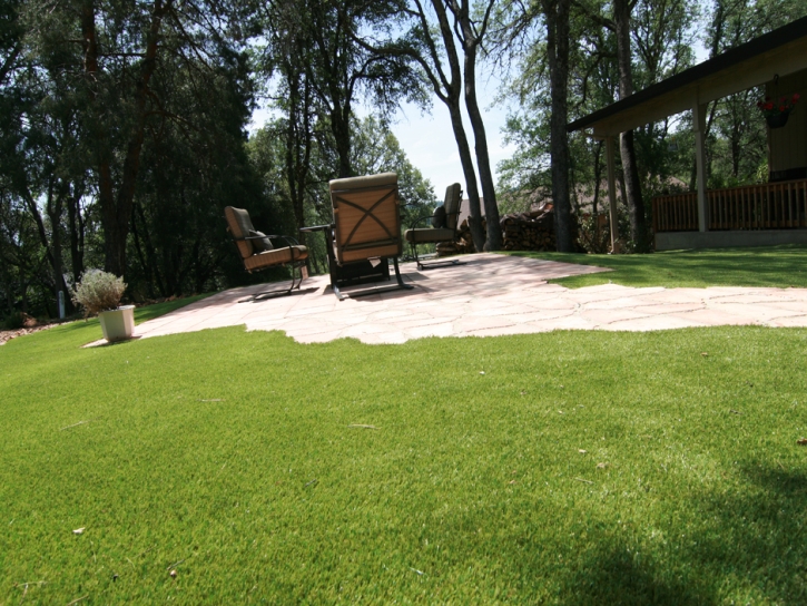 Fake Grass Carpet Minneola, Florida Home And Garden, Backyards