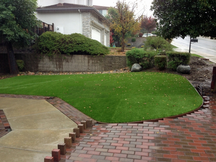 Fake Grass Carpet Nobleton, Florida Landscape Design, Backyard Ideas