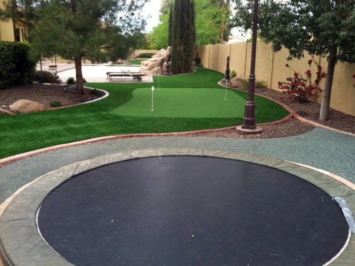 Fake Grass Carpet Oak Ridge, Florida Lawn And Garden, Backyard