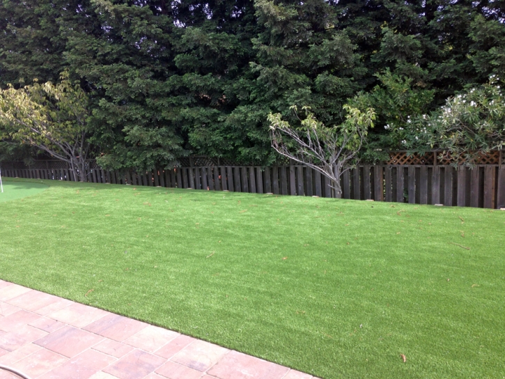 Fake Grass Carpet Okahumpka, Florida Landscaping, Backyard Landscaping Ideas