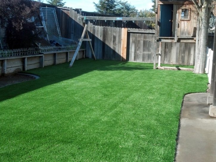 Fake Grass Carpet Pittman, Florida Lawns, Backyard Design