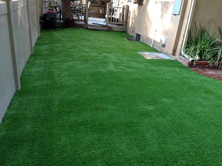 Fake Grass Carpet Saint Augustine South, Florida Landscaping Business, Backyard Designs