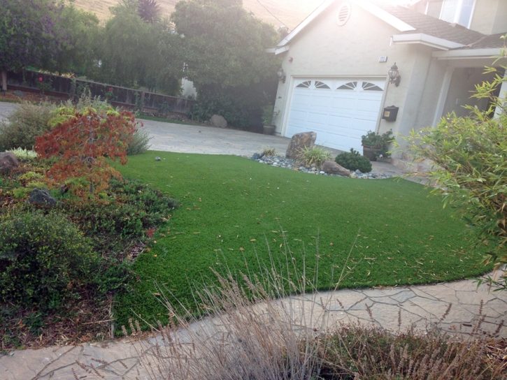 Fake Grass Carpet Shady Hills, Florida Lawns, Front Yard