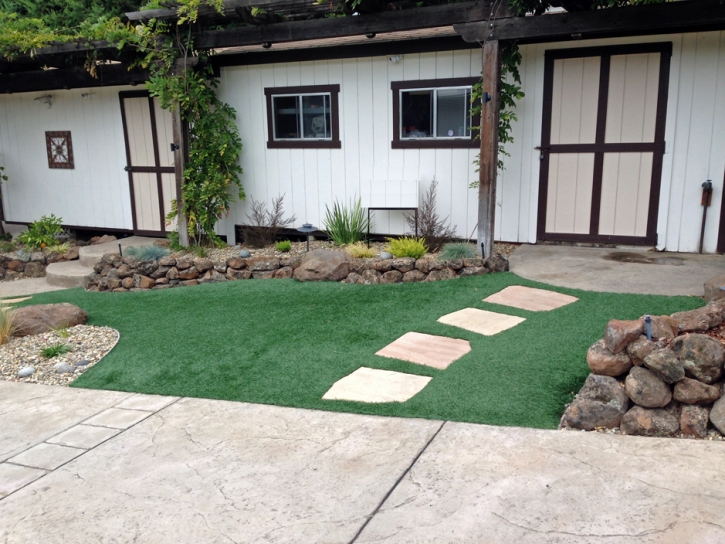 Fake Grass Carpet South Apopka, Florida City Landscape, Front Yard Ideas