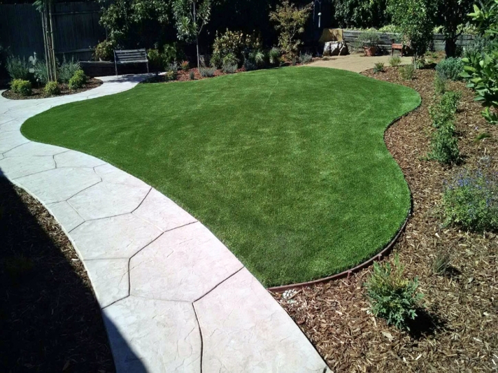 Fake Grass Carpet Weeki Wachee, Florida Design Ideas, Front Yard Landscaping Ideas