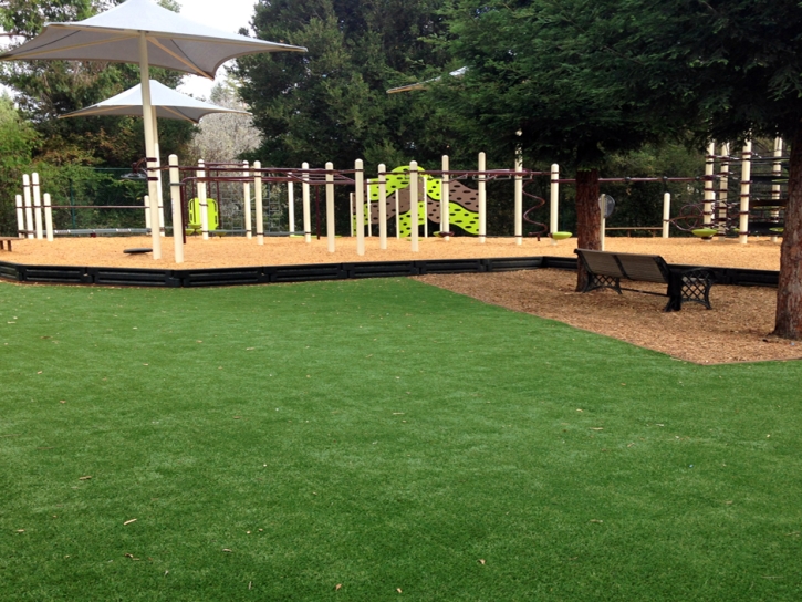 Fake Grass Fort White, Florida Playground Safety, Backyards