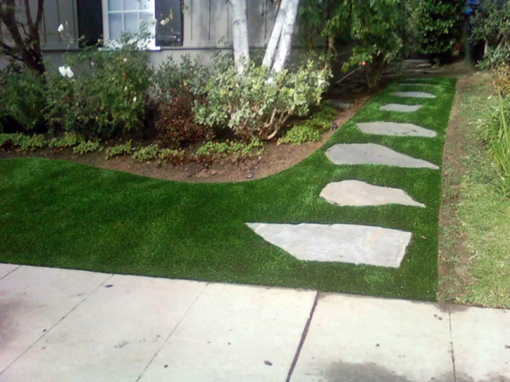 Fake Grass Lacoochee, Florida Home And Garden, Front Yard Landscape Ideas